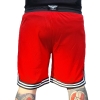 Mesh Short - schwarz-weiß-rot